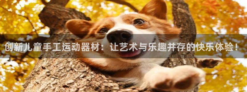 意昂体育4招商电话号码是多少：创新儿童手工运动器材：让艺术与