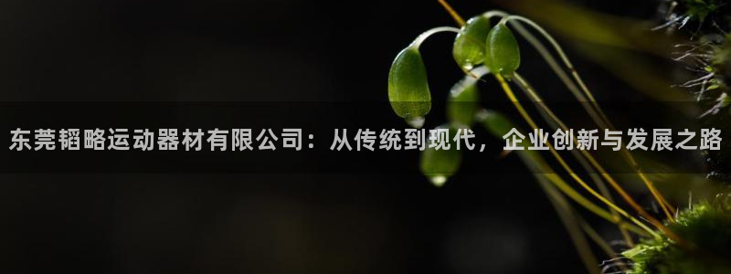 海南意昂体育4发展怎么样