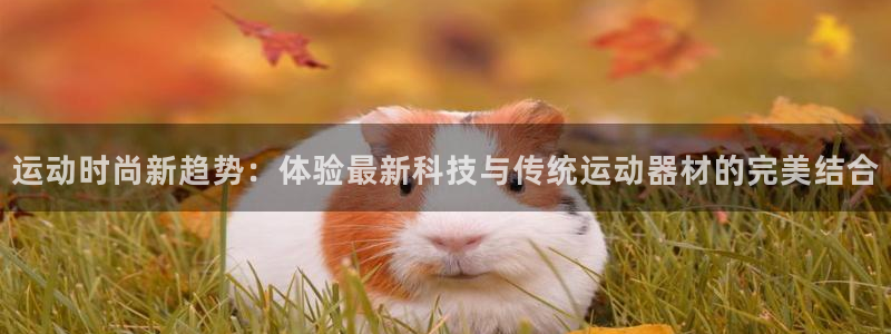意昂体育4招商电话是多少号码