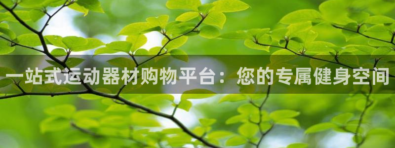 意昂体育4平台假的吗是真的吗：一站式运动器材购物平台：您的专