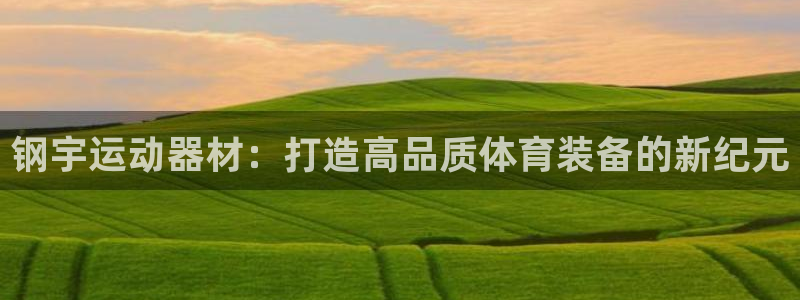 德国意昂4集团：钢宇运动器材：打造高品质体育装备的新纪元