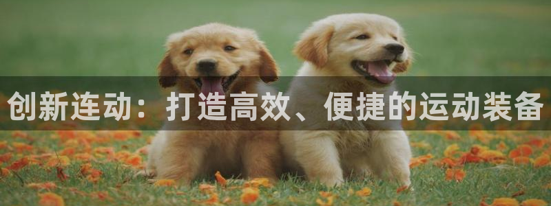意昂体育4平台是正规平台吗知乎
