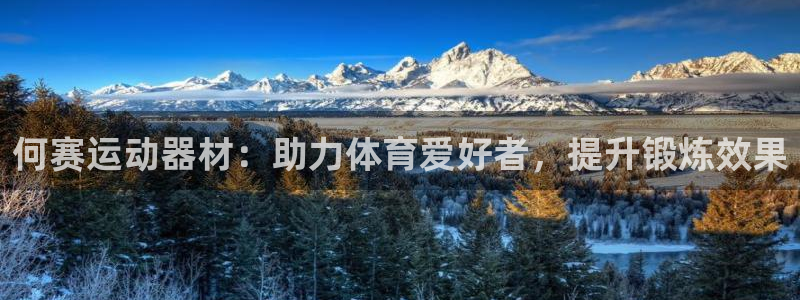 意昂4科技：何赛运动器材：助力体育爱好者，提升锻炼效