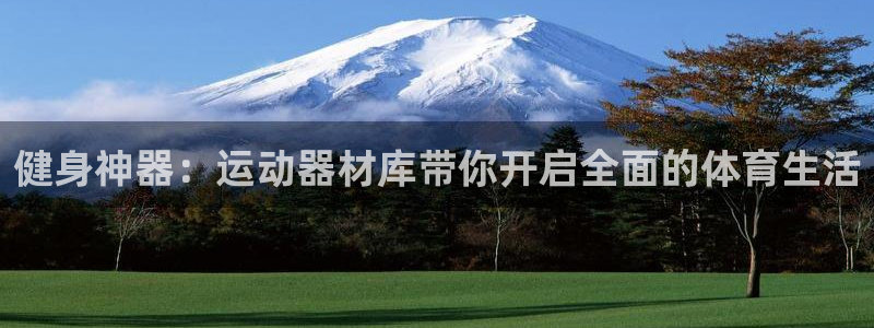 意昂4新能源：健身神器：运动器材库带你开启全面的体育生活