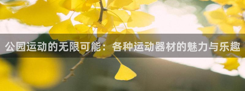 意昂体育4平台假的吗是真的吗吗：公园运动的无限可能：