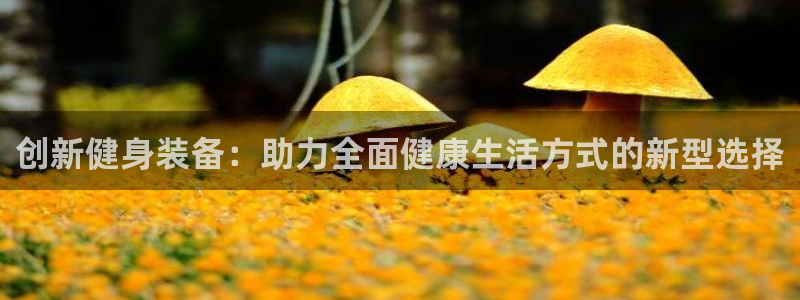 意昂体育4平台是正规平台吗安全吗：创新健身装备：助力