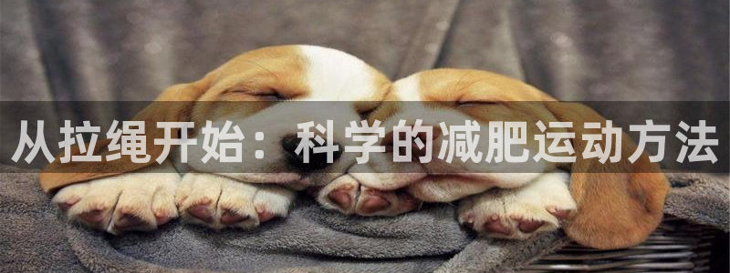 意昂体育4平台注册：从拉绳开始：科学的减肥运动方法