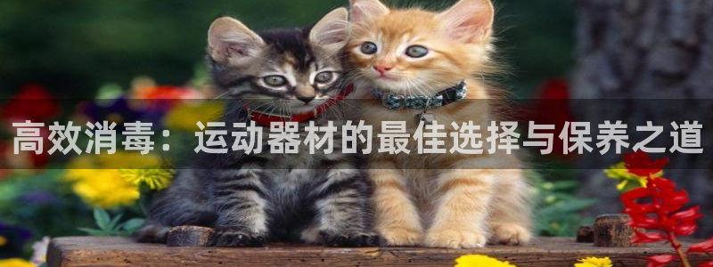 德国意昂4集团：高效消毒：运动器材的最佳选择与保养之道