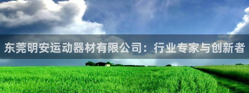 意昂体育4联系电话：东莞明安运动器材有限公司：行业专家与创新