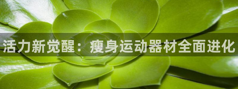 意昂体育4招商电话是多少：活力新觉醒：瘦身运动器材全