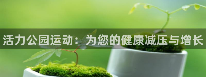 意昂4娱乐首页官网下载：活力公园运动：为您的健康减压