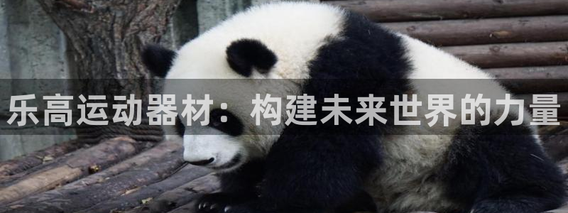 德国意昂4集团：乐高运动器材：构建未来世界的力量