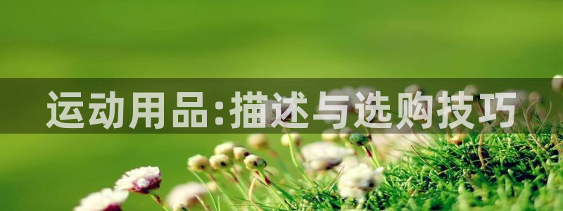 意昂4集团官网首页：运动用品:描述与选购技巧