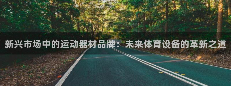 意昂体育4招商电话号码是多少号：新兴市场中的运动器材