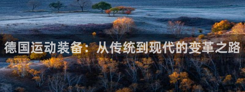 意昂体育4招商电话地址查询：德国运动装备：从传统到现