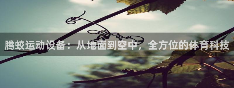 意昂体育4招商电话