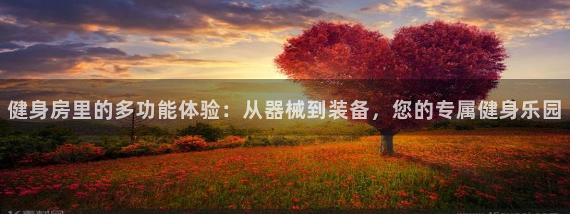 意昂体育4开户：健身房里的多功能体验：从器械到装备，您的专属