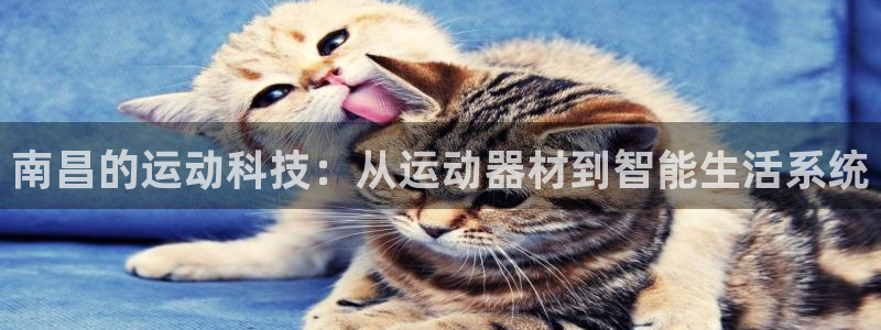 意昂体育4平台假的吗是真的吗：南昌的运动科技：从运动器材到智