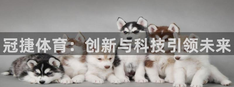 意昂4官网：冠捷体育：创新与科技引领未来