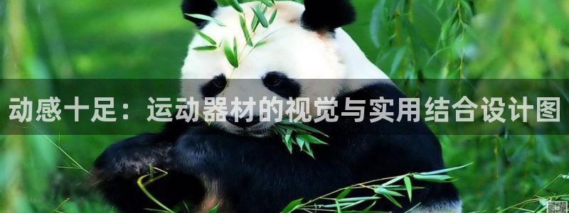 意昂体育4招商电话是多少：动感十足：运动器材的视觉与实用结合
