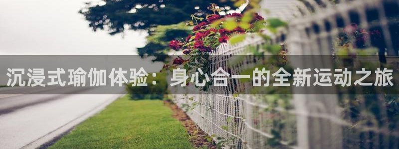 意昂集团官网：沉浸式瑜伽体验：身心合一的全新运动之旅