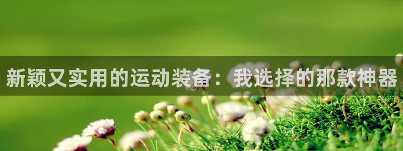 德国意昂4集团：新颖又实用的运动装备：我选择的那款神