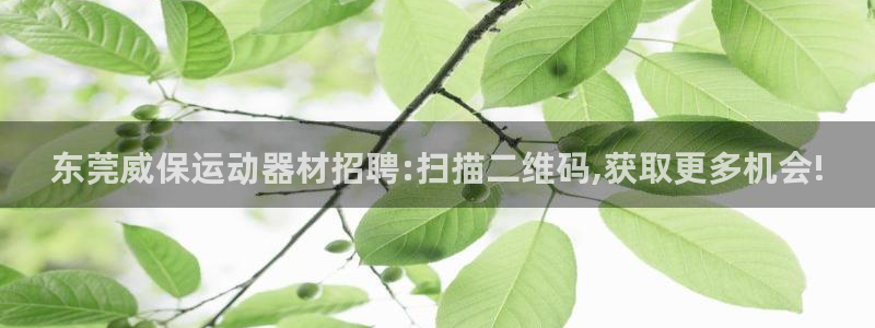 意昂体育4招商电话号码是多少啊