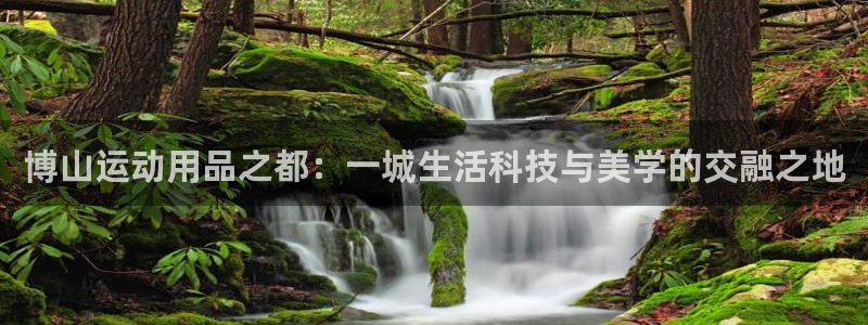 意昂体育4招商电话号码是多少：博山运动用品之都：一城生活科技