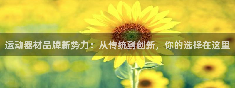 意昂体育4招商电话是多少：运动器材品牌新势力：从传统到创新，