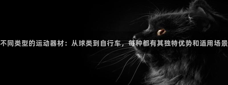 意昂4新能源：不同类型的运动器材：从球类到自行车，每
