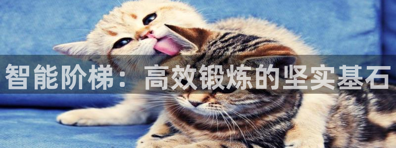意昂体育4招商电话号码查询是多少：智能阶梯：高效锻炼