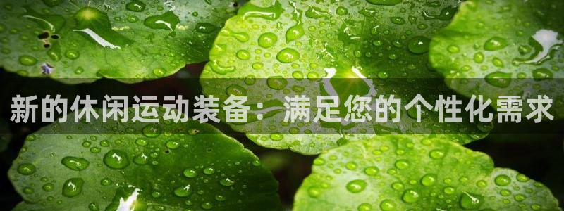 意昂4官网：新的休闲运动装备：满足您的个性化需求