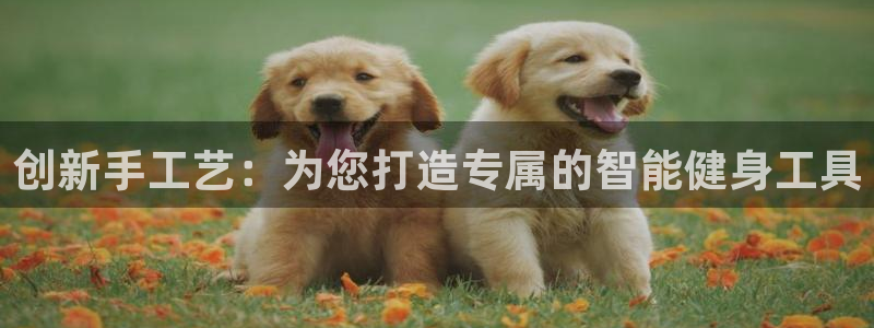 意昂平台体育：创新手工艺：为您打造专属的智能健身工具