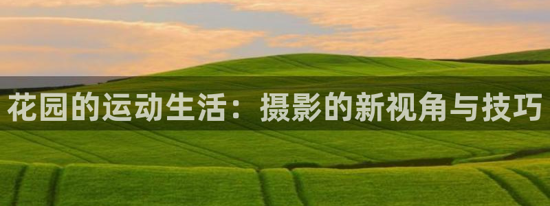 意昂4集团logo：花园的运动生活：摄影的新视角与技巧