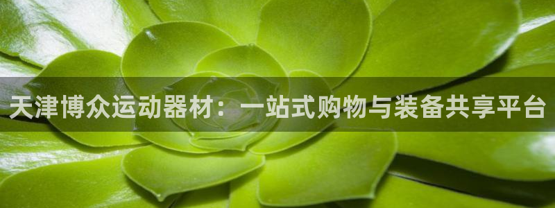 意昂4代理：天津博众运动器材：一站式购物与装备共享平