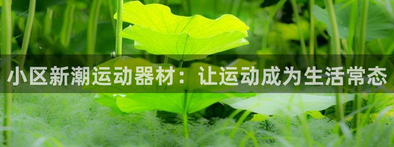 注册意昂4：小区新潮运动器材：让运动成为生活常态