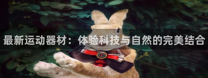 意昂4神州：最新运动器材：体验科技与自然的完美结合