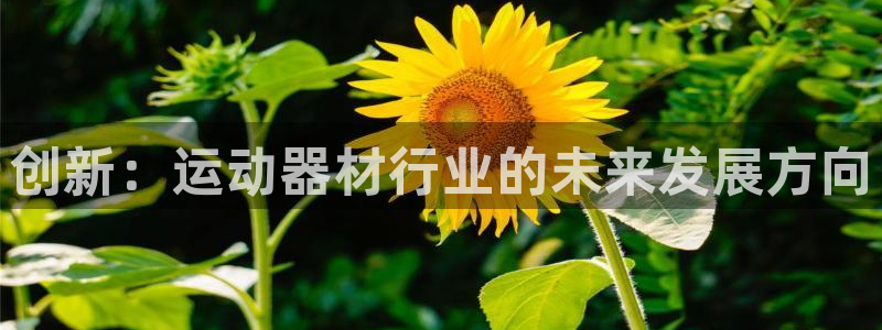 意昂体育4招商电话是多少啊