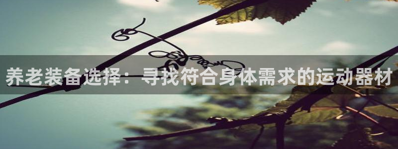 意昂体育4招商电话号码：养老装备选择：寻找符合身体需求的运动