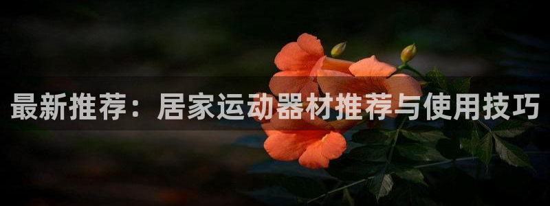 意昂体育4招商电话：最新推荐：居家运动器材推荐与使用技巧
