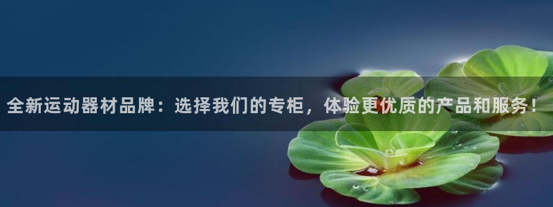 意昂4代理：全新运动器材品牌：选择我们的专柜，体验更优质的产