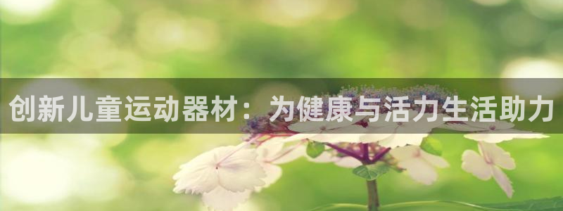意昂体育4招商电话号码：创新儿童运动器材：为健康与活力生活助