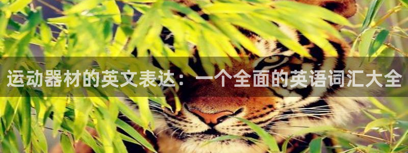 意昂体育4平台是正规平台吗知乎：运动器材的英文表达：