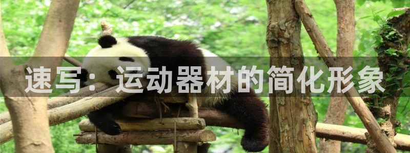 意昂体育4平台注册要钱吗是真的吗：速写：运动器材的简