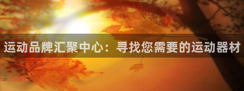 意昂体育4平台假的吗是真的吗吗：运动品牌汇聚中心：寻