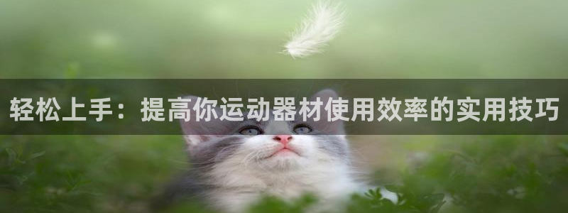 意昂4集团官网首页：轻松上手：提高你运动器材使用效率