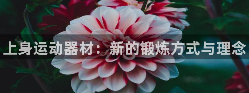 意昂4娱乐首页网站大全：上身运动器材：新的锻炼方式与