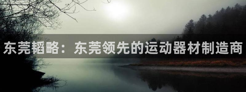 意昂体育4平台注册流程图：东莞韬略：东莞领先的运动器