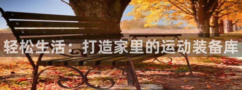 意昂体育4：轻松生活：打造家里的运动装备库