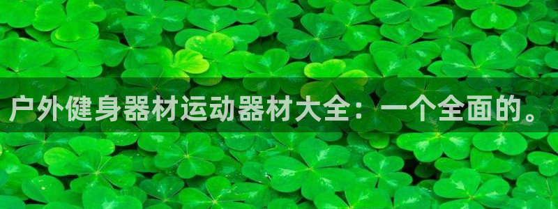 海南意昂体育4发展怎么样：户外健身器材运动器材大全：